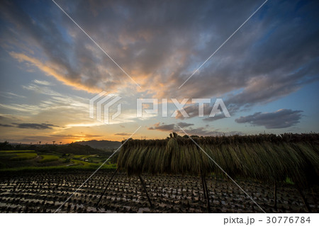 下赤阪棚田風景 下赤阪棚田風景 30776784
