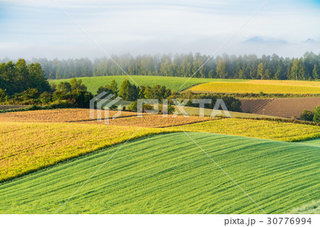《北海道》美瑛・朝の田園風景 《北海道》美瑛・朝の田園風景 30776994