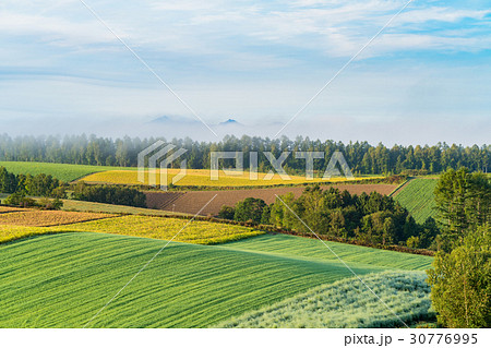 《北海道》美瑛・朝の田園風景 《北海道》美瑛・朝の田園風景 30776995