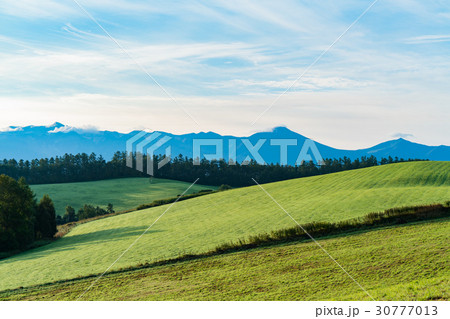 《北海道》美瑛・朝の田園風景 《北海道》美瑛・朝の田園風景 30777013