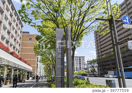 京都 柳馬場通り 看板 京都 柳馬場通り 看板 30777559