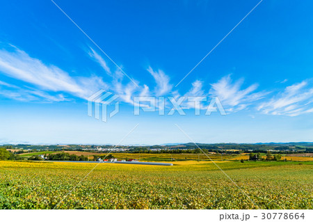 《北海道》美瑛・田園風景 30778664