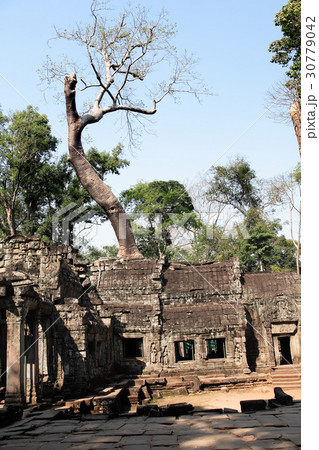 Angkor Wat Temple 30779042