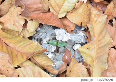 Save money with stack coin for growing business Save money with stack coin for growing business 30779220