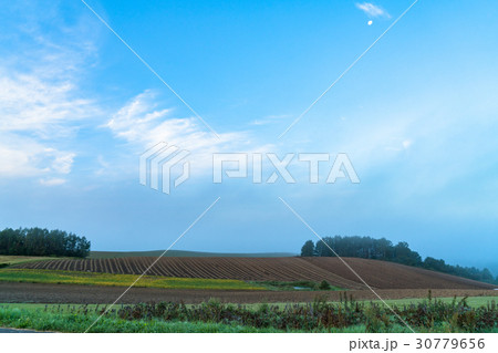 《北海道》美瑛・朝の田園風景 30779656