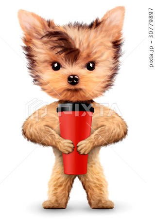 Funny dog holding shaker or water bottle Funny dog holding shaker or water bottle 30779897
