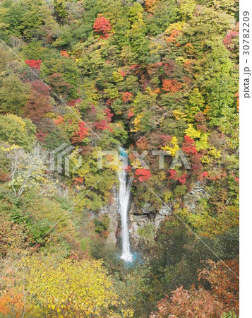 駒止の滝 30782209