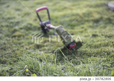 String trimmer lies on mown lawn middle of yard 30782806