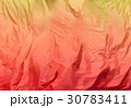 Texture 30783411