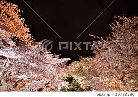幻想的な夜桜 30783596