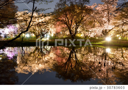 幻想的な夜桜 30783603