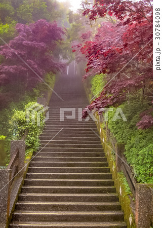 台湾 宜蘭 太平山 30784098
