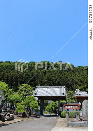 埼玉県寄居町の善導寺 埼玉県寄居町の善導寺 30785558