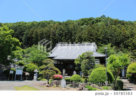 埼玉県寄居町の善導寺 埼玉県寄居町の善導寺 30785563