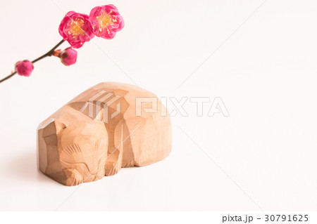 眠り猫 眠り猫 30791625