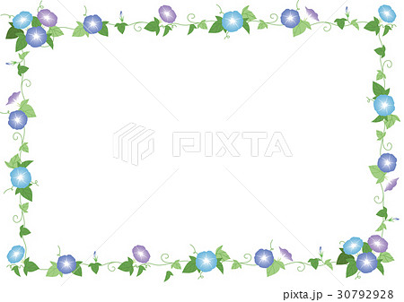 朝顔のフレームのイラスト素材