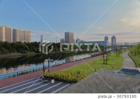 豊洲市場ぐるり公園から見た東雲運河の写真素材 豊洲市場ぐるり公園から見た東雲運河の写真素材