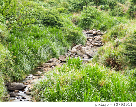 屋外 野外 アウトドア 30793911