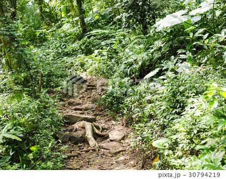 屋外 野外 アウトドア 30794219