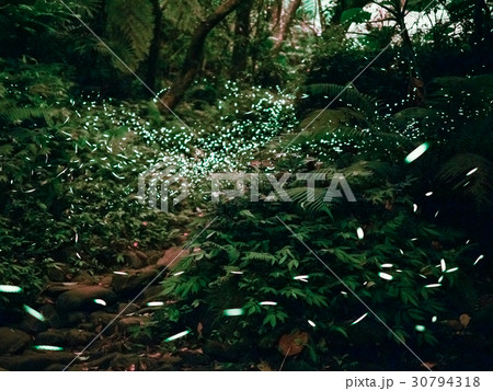 屋外 野外 アウトドア 30794318