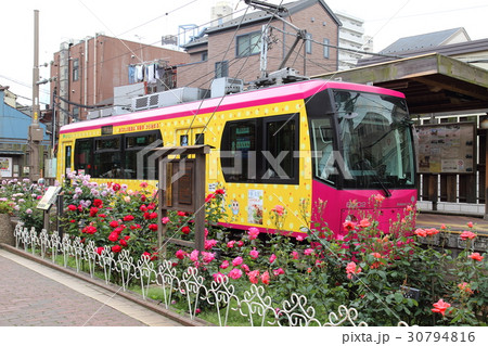 都電荒川線 五月 都電荒川線 五月 30794816
