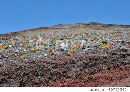 富士山 表口七合目から山頂方面 30795542