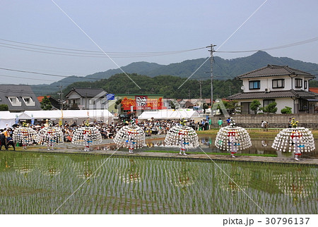 壬生の花田植 壬生の花田植 30796137