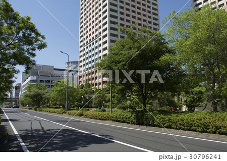 浦安市 5月 浦安市 5月 30796241