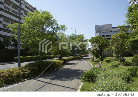 浦安市 5月 浦安市 5月 30796242