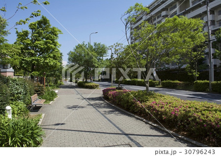 浦安市 5月 30796243