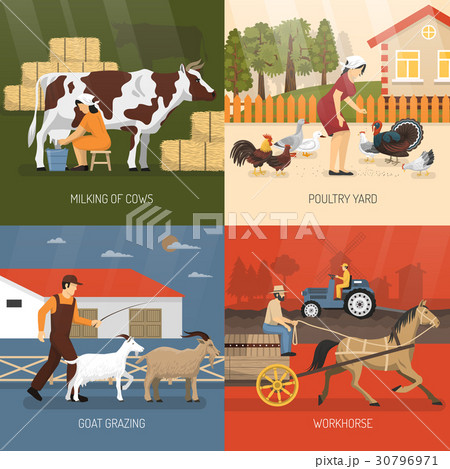 Farm Animals Design Concept Farm Animals Design Concept 30796971