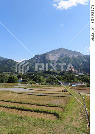 埼玉県横瀬町の寺坂棚田の写真素材