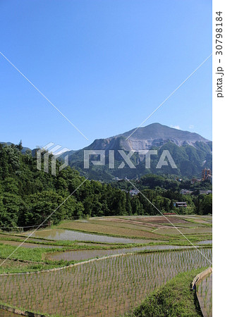 埼玉県横瀬町の寺坂棚田の写真素材