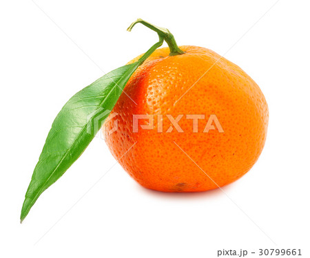 tangerine isolated on white background 30799661