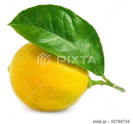 Lemon with leaf isolated on white 30799726