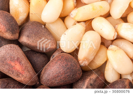 pine nuts or whole peeled macro background pine nuts or whole peeled macro background 30800076