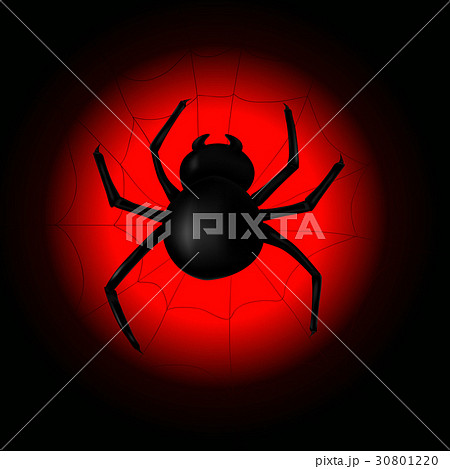 Spider with spider web on the background of the 30801220