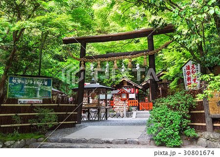 京都　嵯峨野　野宮神社 30801674