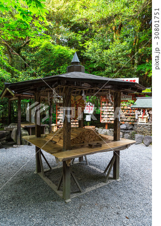 京都　嵯峨野　野宮神社 30801751