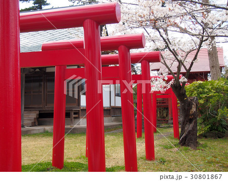 赤い鳥居 30801867