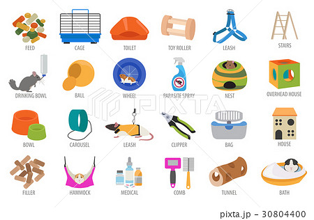 Pet rodents appliance icon set flat  30804400