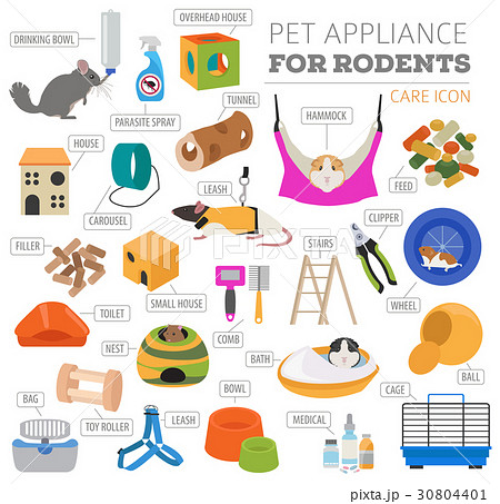 Pet rodents appliance icon set flat Pet rodents appliance icon set flat 30804401