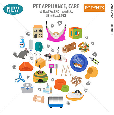 Pet rodents appliance icon set flat Pet rodents appliance icon set flat 30804402