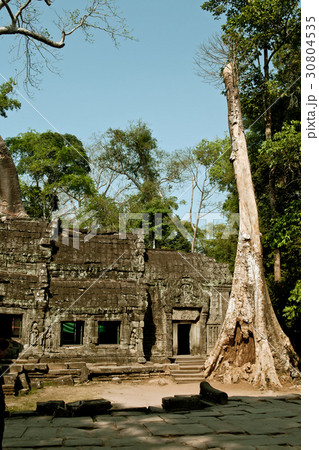 Angkor Wat Temple 30804535