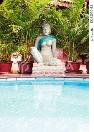 Nice Empty Water Pool 30804542
