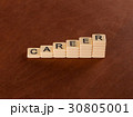 Chart with words Career. Career stair concept. 30805001