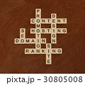 Crossword with words SEO, Content, Site, Ranking 30805008