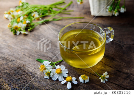 cup of chamomile tea with chamomile flowers 30805216