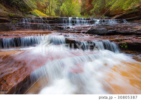 Archangel Falls, Zion National Park, Utah 30805387