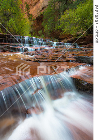Archangel Falls, Zion National Park, Utah 30805393